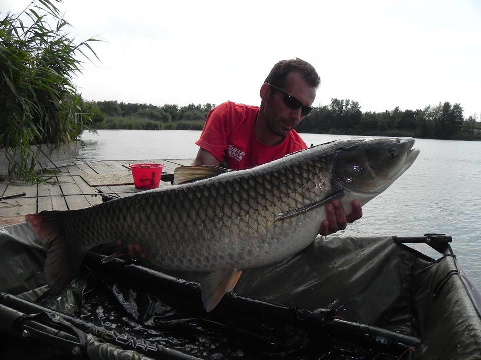 Tancabesti 31 august - 7 septembrie 2014 - 106285457238078710181732396460054409868542n.jpg